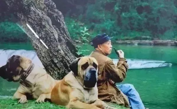 林青霞的幽默感与生活趣事_林青霞的幽默感与生活趣事_林青霞的幽默感与生活趣事